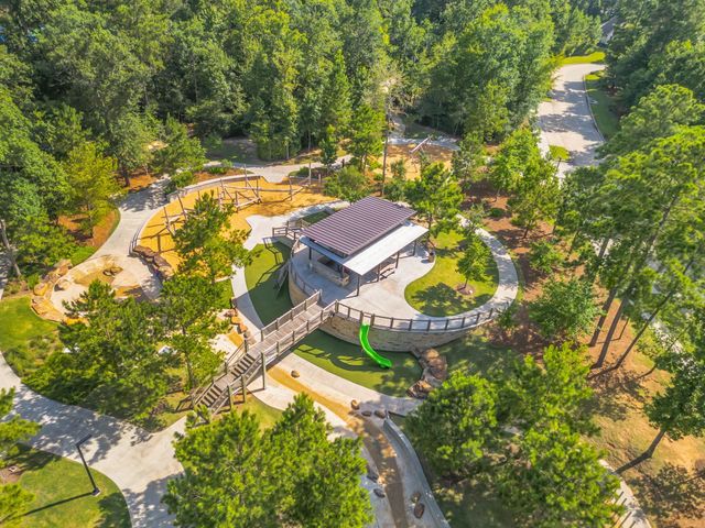 222 Elianne Lace Ct Court, Willis, TX 77318