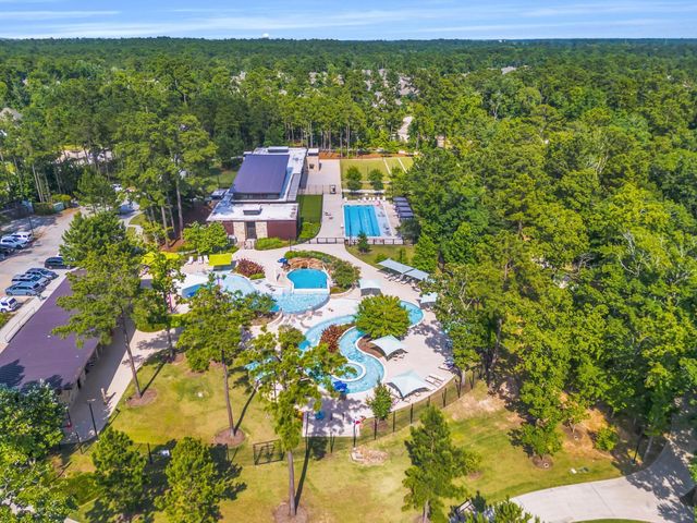222 Elianne Lace Ct Court, Willis, TX 77318