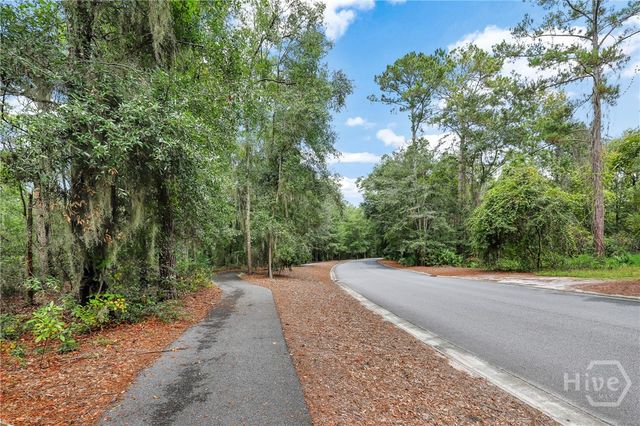 217 Higginson Drive, Richmond Hill, GA 31324