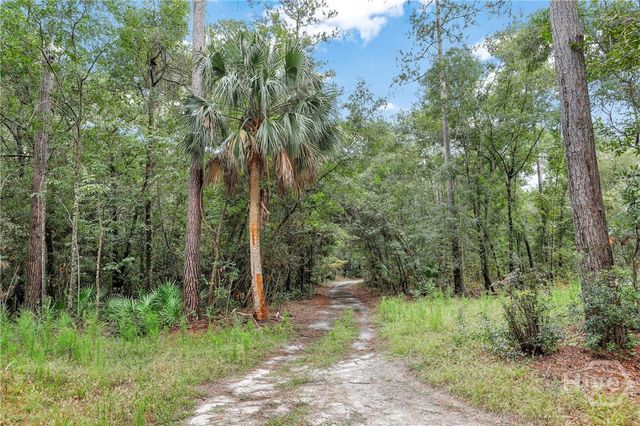 217 Higginson Drive, Richmond Hill, GA 31324