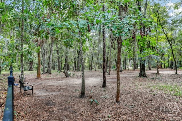 217 Higginson Drive, Richmond Hill, GA 31324