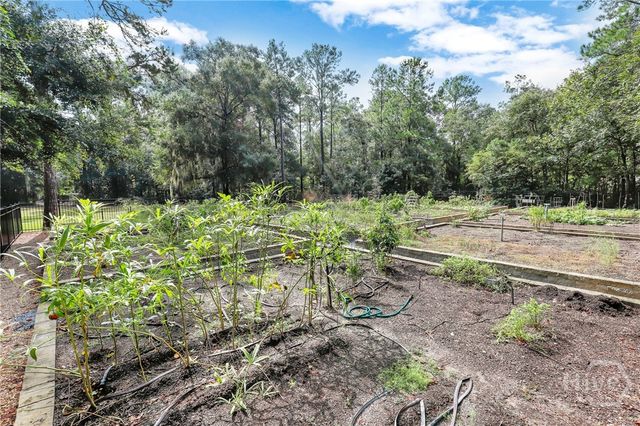 217 Higginson Drive, Richmond Hill, GA 31324