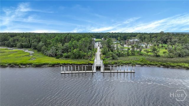 217 Higginson Drive, Richmond Hill, GA 31324