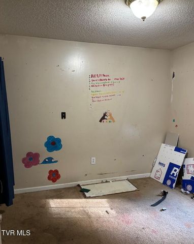 3818 Bonita Street, Kingsport, TN 37664