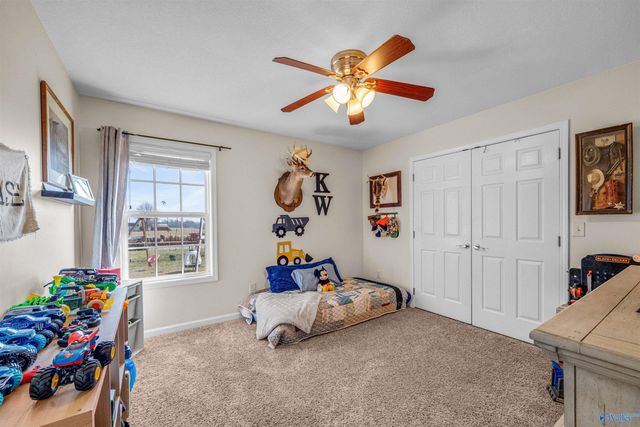 63 Graben Drive, Fyffe, AL 35971