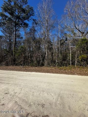 289 Tuliptree Lane SW, Supply, NC 28462