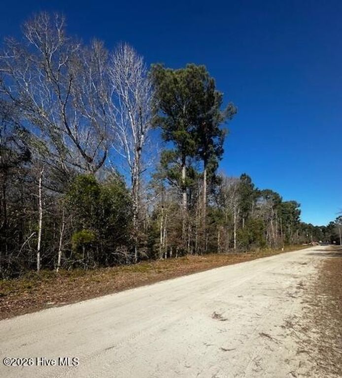 289 Tuliptree Lane SW, Supply, NC 28462