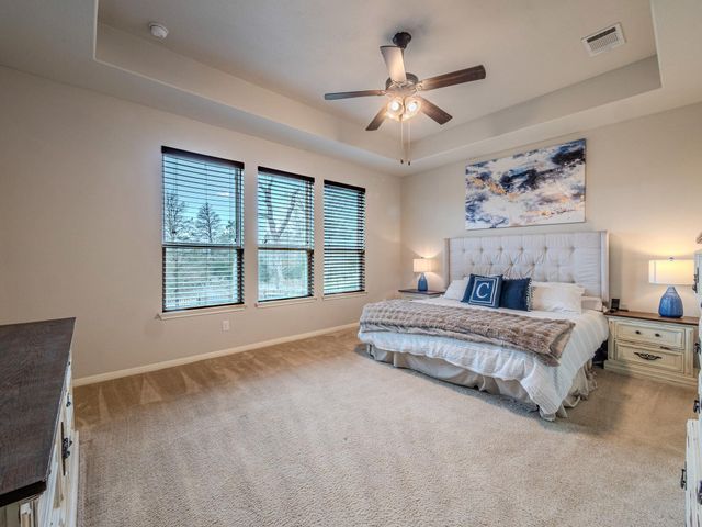 117 Arbor Point DR, Elgin, TX 78621