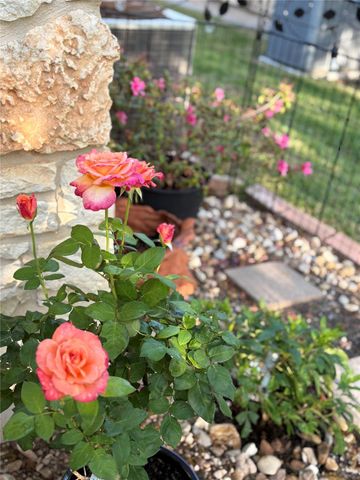 33 Oaks PL, Lago Vista, TX 78645