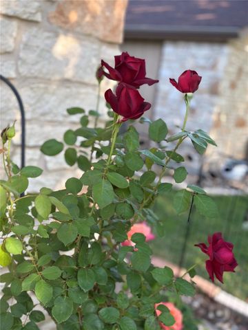 33 Oaks PL, Lago Vista, TX 78645