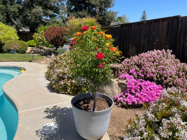 2873 Mitchell Avenue, Clovis, CA 93611