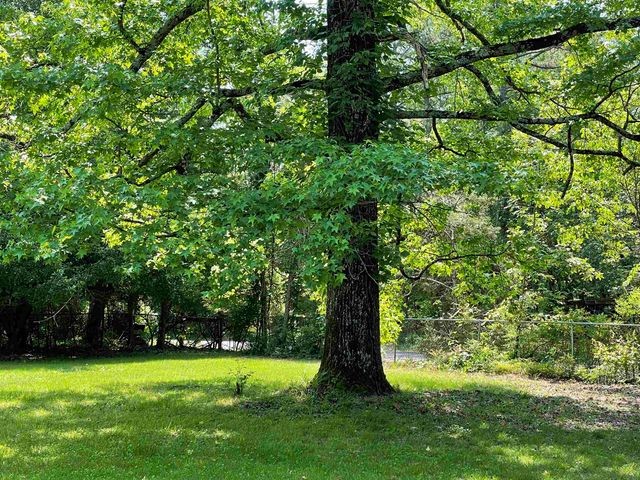 395 Wood Grove Lane, Higden, AR 72067