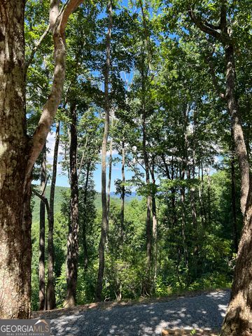 2046 Amy Creek Circle 34, Ellijay, GA 30540