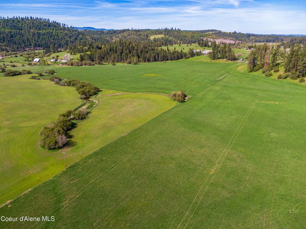 1101 Ruby Creek Rd, Harvard, ID 83834 photo 10