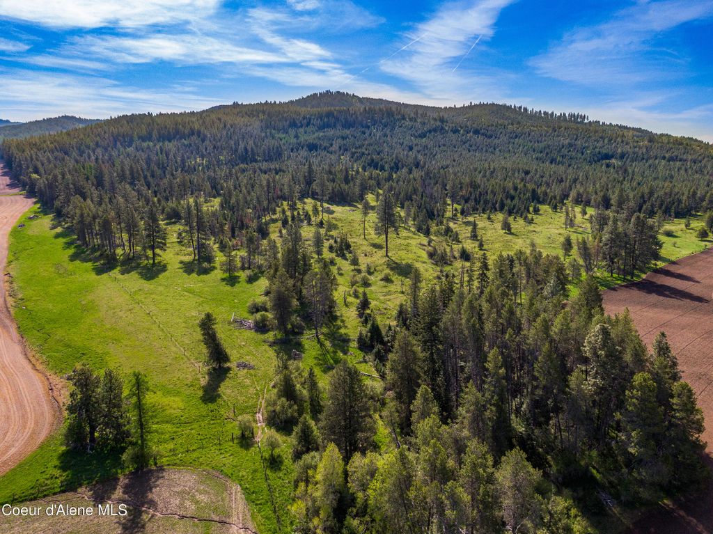 1101 Ruby Creek Rd, Harvard, ID 83834 photo 13