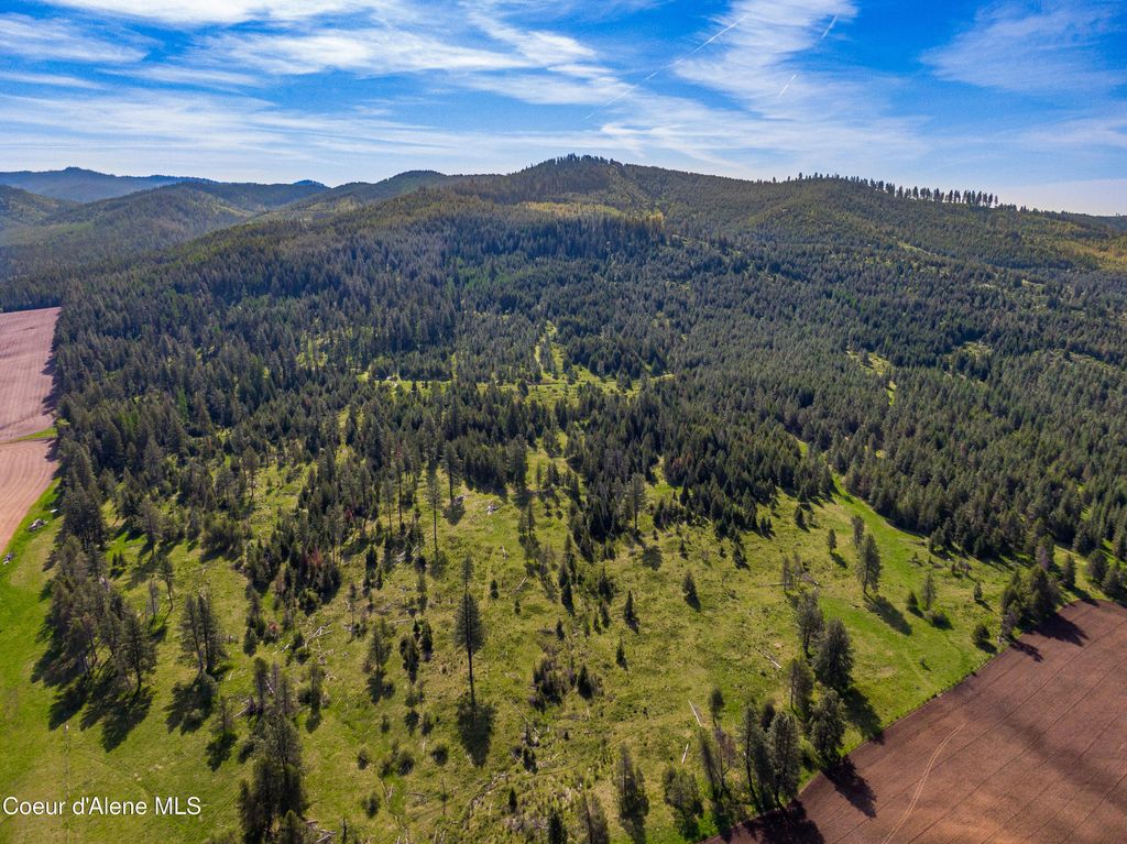 1101 Ruby Creek Rd, Harvard, ID 83834 photo 14