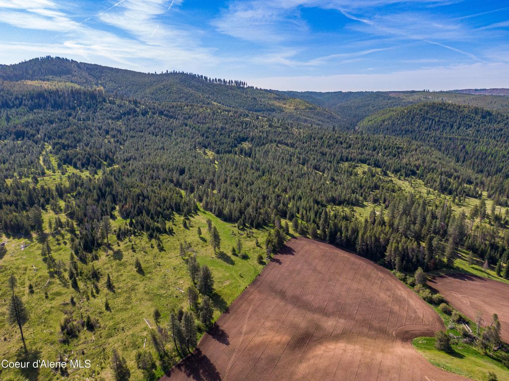 1101 Ruby Creek Rd, Harvard, ID 83834 photo 15