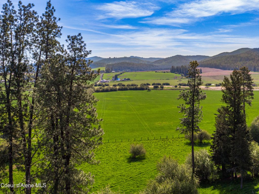 1101 Ruby Creek Rd, Harvard, ID 83834 photo 22