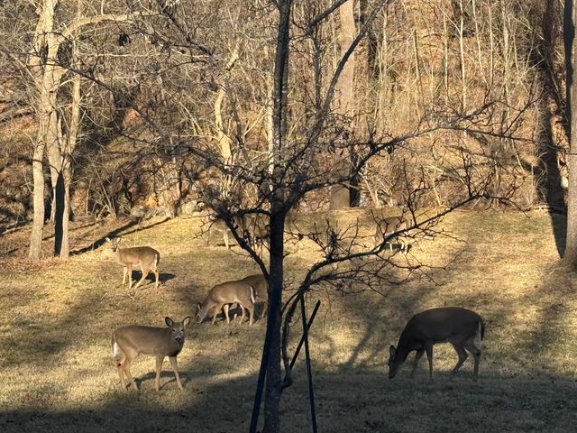 3014 Circle DR, Roanoke, VA 24018