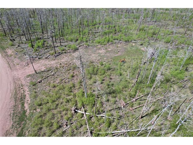 1426 Hassan Ln, Fort Garland, CO 81133