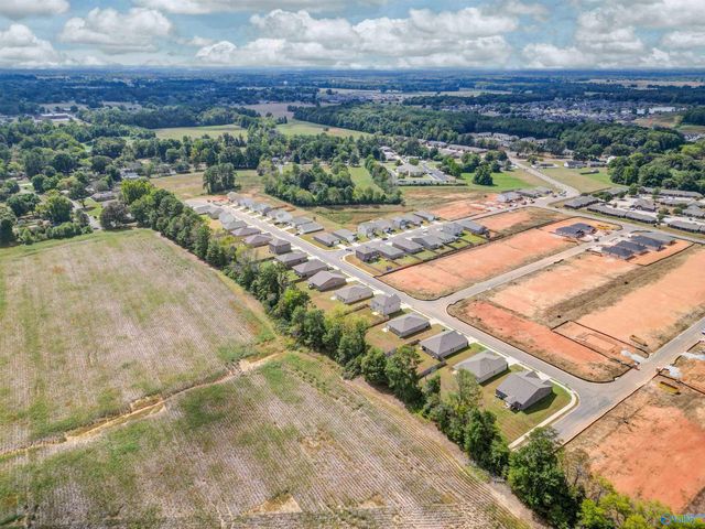 17992 Daniel Island Drive, Athens, AL 35611