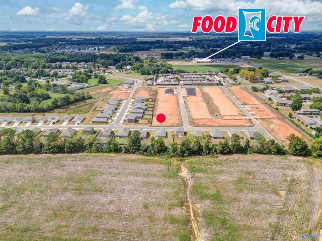 17992 Daniel Island Drive, Athens, AL 35611