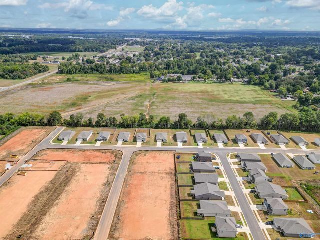17992 Daniel Island Drive, Athens, AL 35611