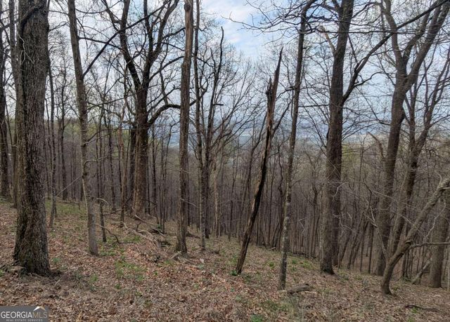 7188 Ridgeview Drive, Big Canoe, GA 30143