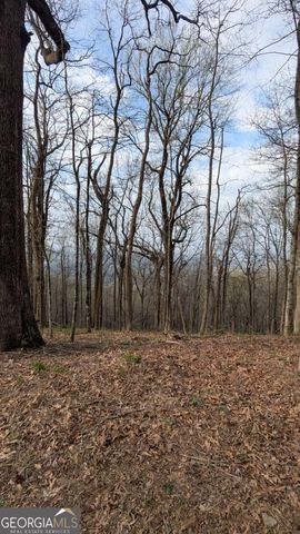7188 Ridgeview Drive, Big Canoe, GA 30143