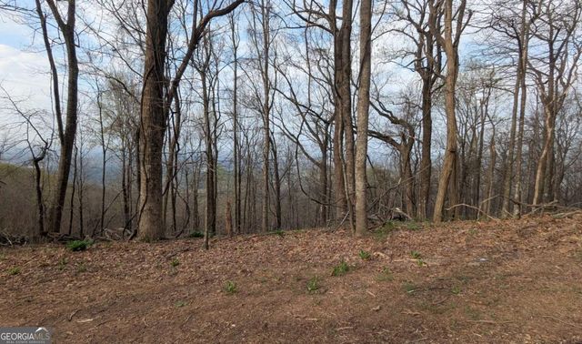 7188 Ridgeview Drive, Big Canoe, GA 30143