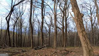 7188 Ridgeview Drive, Big Canoe, GA 30143