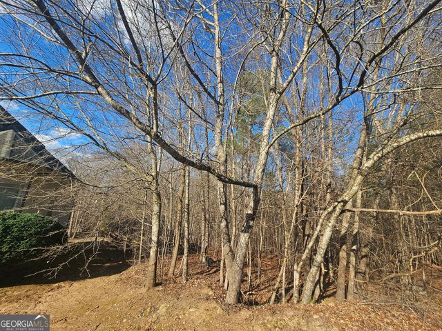 1628 Norris Landing Drive, Snellville, GA 30039