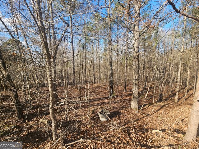 1628 Norris Landing Drive, Snellville, GA 30039