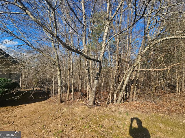 1628 Norris Landing Drive, Snellville, GA 30039