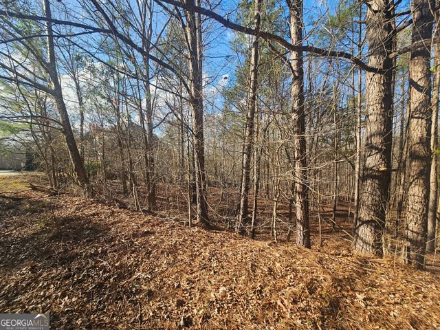 1628 Norris Landing Drive, Snellville, GA 30039