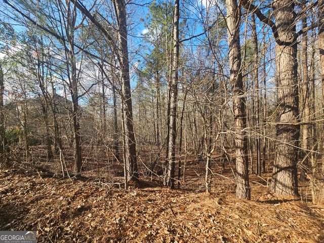 1628 Norris Landing Drive, Snellville, GA 30039