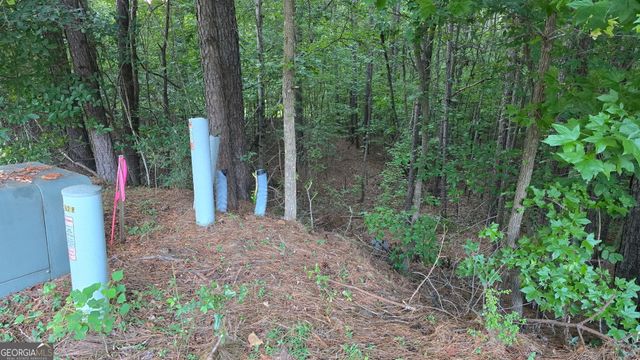 1628 Norris Landing Drive, Snellville, GA 30039