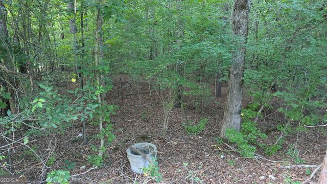 1628 Norris Landing Drive, Snellville, GA 30039