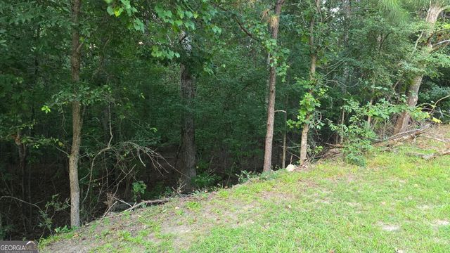 1628 Norris Landing Drive, Snellville, GA 30039