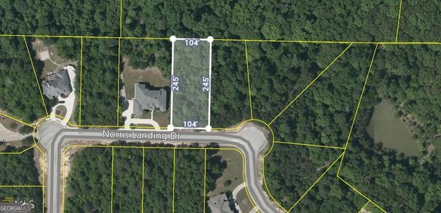 1628 Norris Landing Drive, Snellville, GA 30039