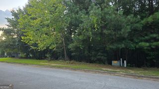 1628 Norris Landing Drive, Snellville, GA 30039