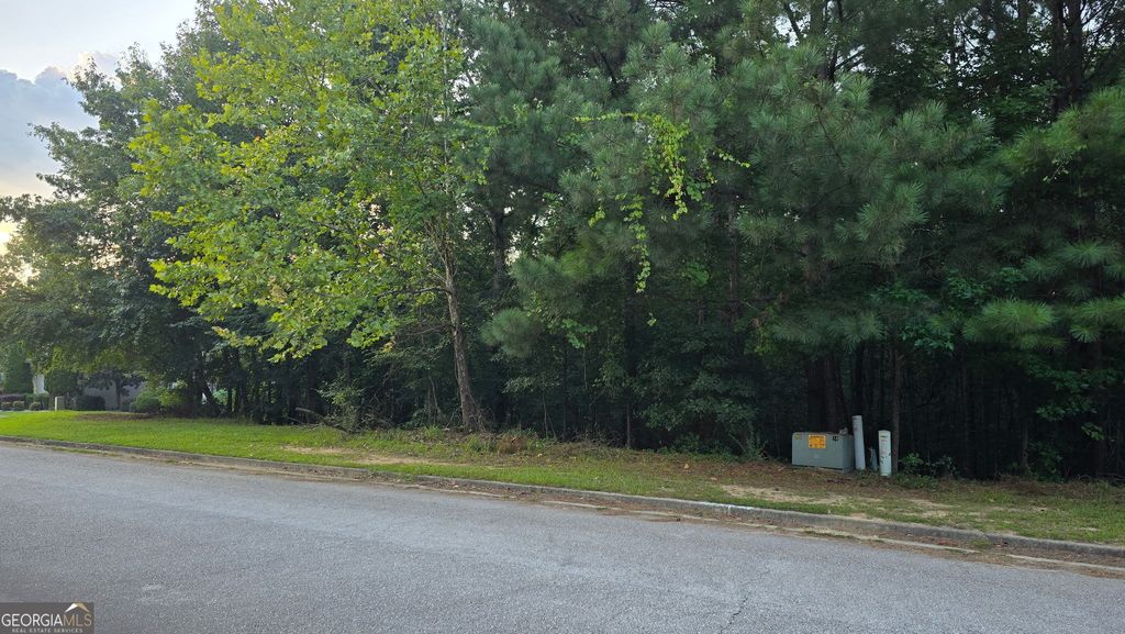 1628 Norris Landing Drive, Snellville, GA 30039