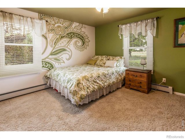 5250 4th Avenue, Timnath, CO 80547