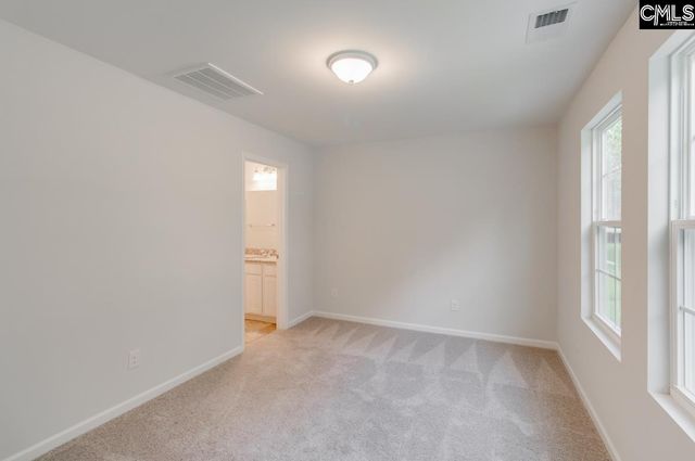 3965 Golden Crane Pass, Lexington, SC 29073