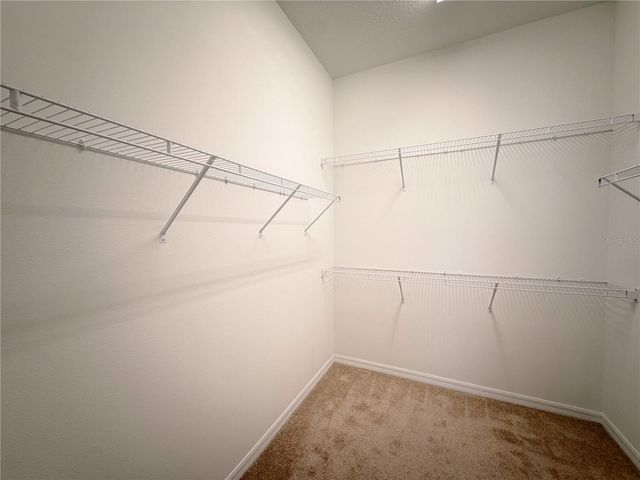 16007 MICELLI DRIVE, Winter Garden, FL 34787