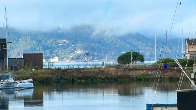 1457 Sandpiper Spit, Richmond, CA 94801