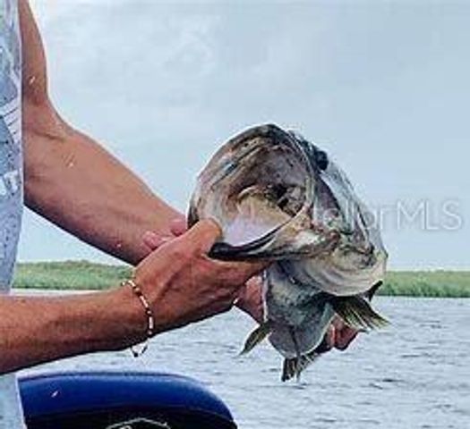 20635 NW 264TH STREET, Okeechobee, FL 34972