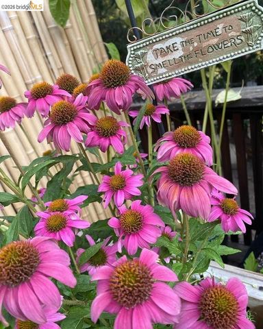 24147 N Oxbow, Sonora, CA 95370