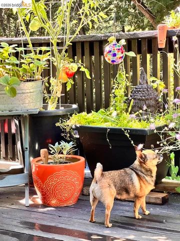 24147 N Oxbow, Sonora, CA 95370