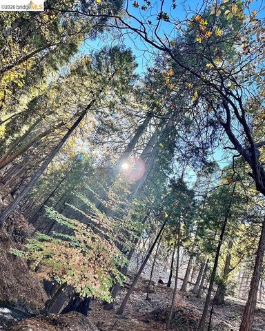 24147 N Oxbow, Sonora, CA 95370